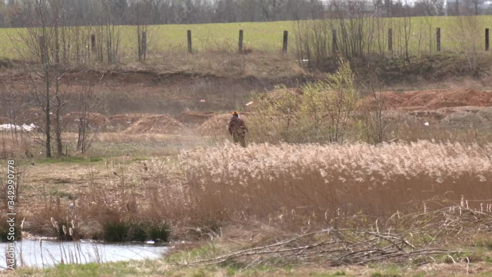 Man mows dry grass trimmer during spring cleaning of the territory in the Park. The gardener cutting grass by lawn mower.
Man mows dry grass trimmer during spring cleaning of the territory in the Park. The gardener cutting grass by lawn mower.