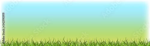 green grass lawn with blue sky nature spring landscape background horizontal vector illustration