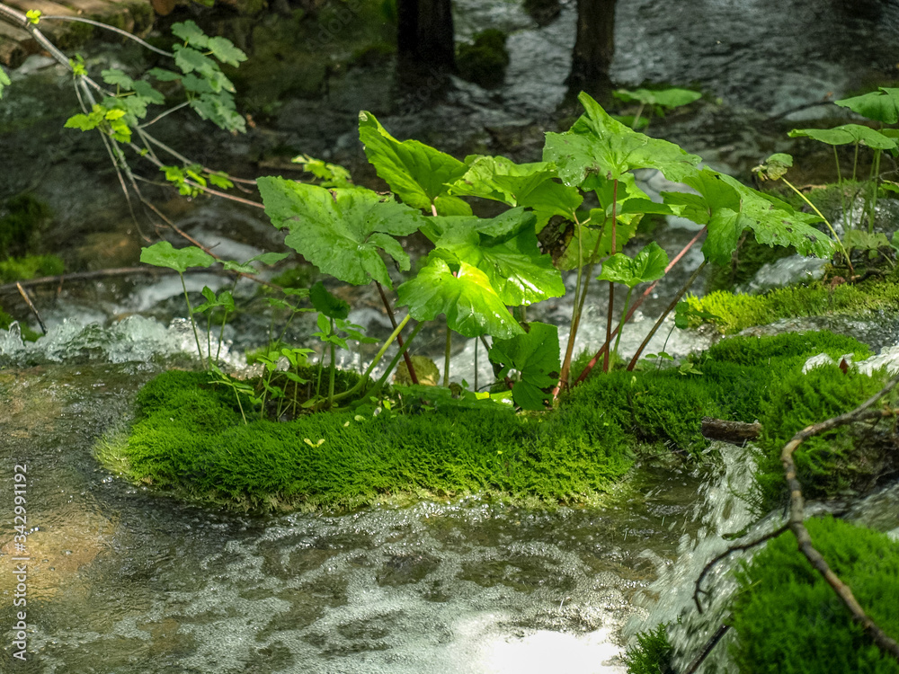 waterfalls and streams in Plitvice Lakes National Park waterfalls and streams in Plitvice Lakes National Park
