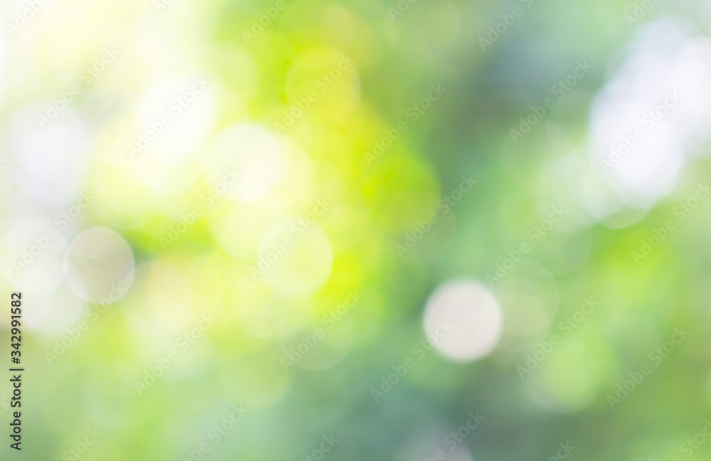 Green nature blurry with day light background with bokeh light