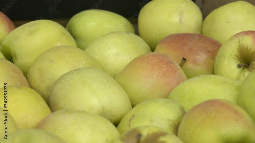A lot of green apples in a cardboard box. apple harvest in boxes. Cardboard crate box full of fresh apples in some different colors
A lot of green apples in a cardboard box. apple harvest in boxes. Cardboard crate box full of fresh apples in some different colors