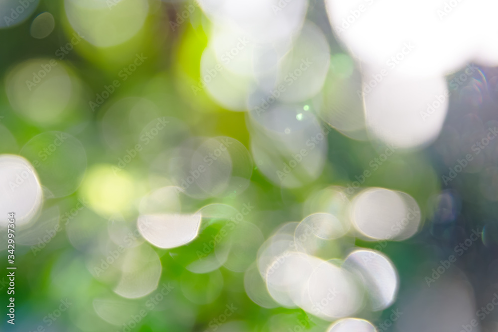 Fototapeta premium Blurred green and white bokeh for background.