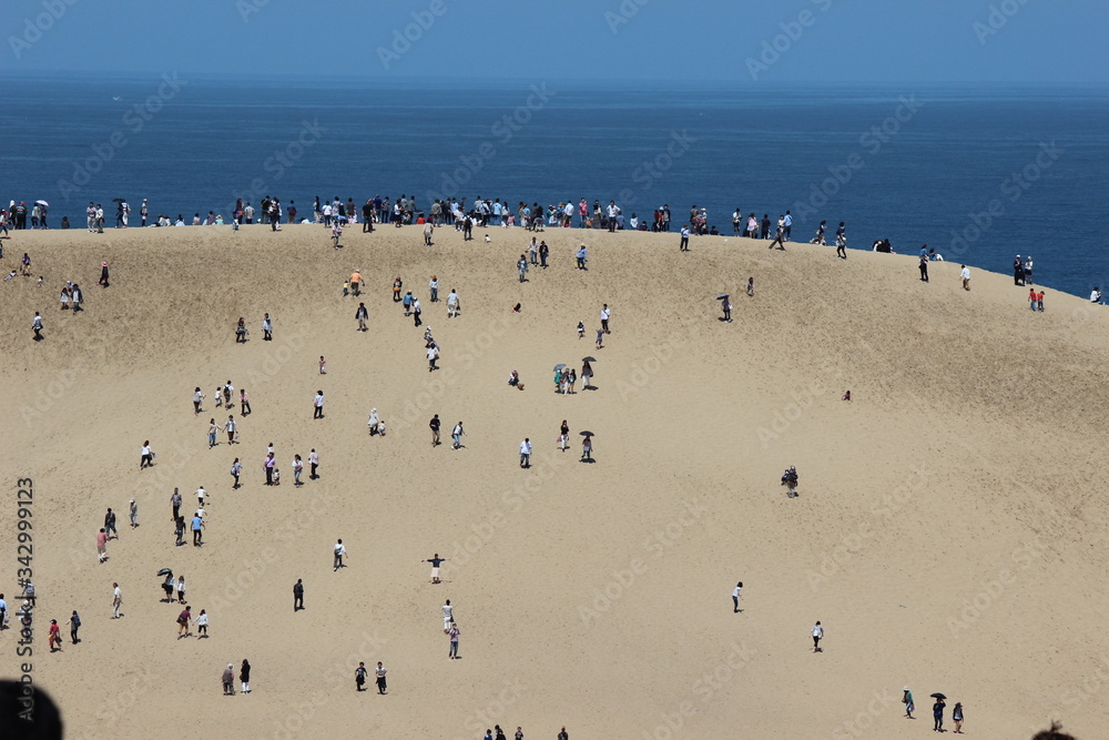 鳥取砂丘の馬の背（最も大きな砂の丘）にのぼる観光客たち