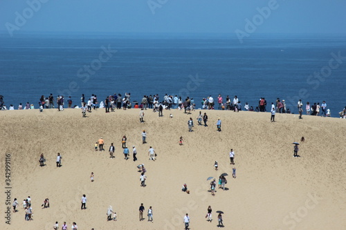鳥取砂丘の馬の背（最も大きな砂の丘）にのぼる観光客たち Tottori Sand Dunes