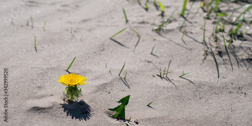 Klimawandel - Sandsturm in Deutschland photo