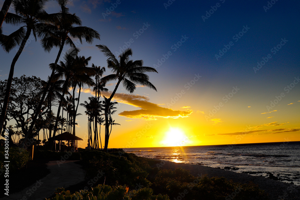 Obraz premium Beatiful Hawaiian sunset on the beach with oceanview