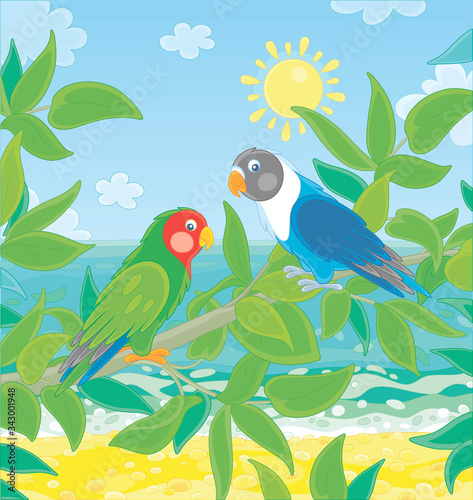 Amusing colorful parrots with brightly colored plumage  perched on a green tree branch in a tropical jungle on a blue sea background on a sunny summer day  vector cartoon illustration