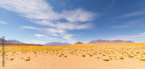 Panoramic view of  Siloli Desert, in Bolivia photo