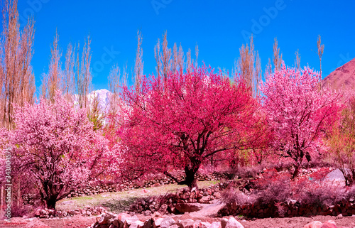 landscape view of Hunza Valley, Pakistan