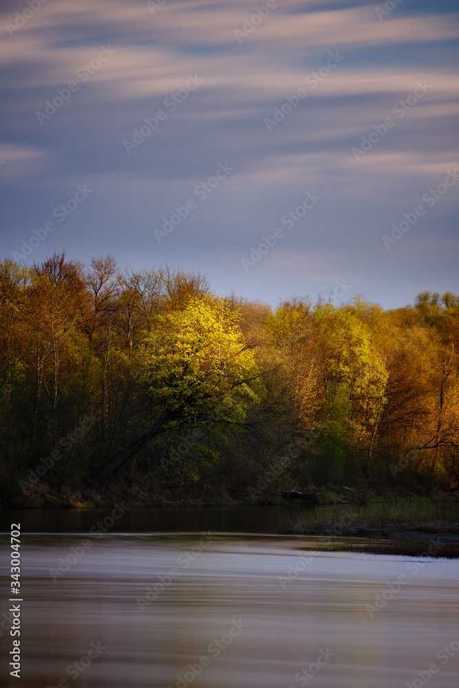 Morning sunlight on trees by a river long exposure beautiful spring time