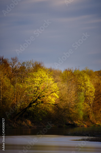 Morning sunlight on trees by a river long exposure beautiful spring time