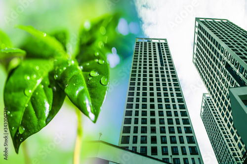 Modern skyscraper on a background of green plants . The concept of environmental clean construction .