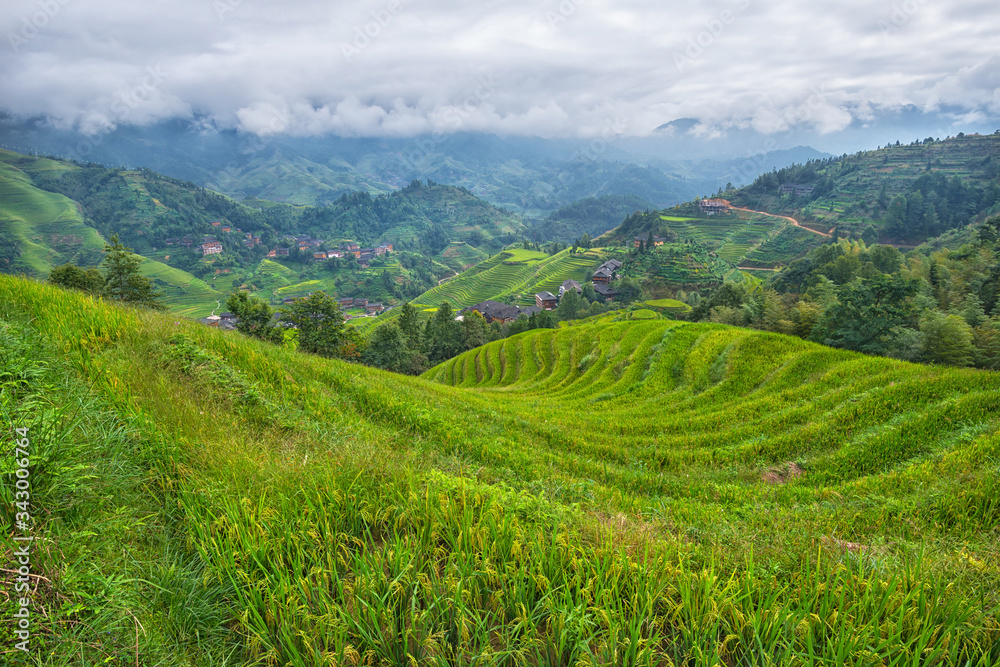 View of rice terraces in South China