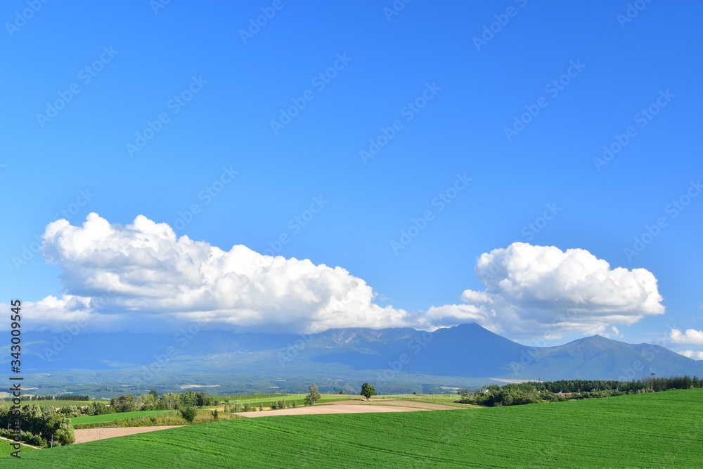 Naklejka premium 雲と空と大地~ハートの木