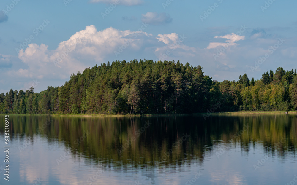 forest reflected in the water on a sunny summer day forest reflected in the water on a sunny summer day