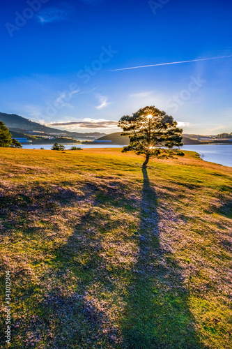 November, aerial view of pink grass at Suoi Vang lake, Da Lat, Vietnam. photo