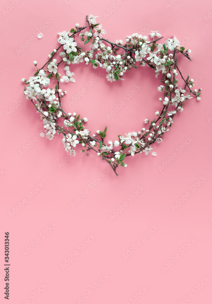 on a pink background, a heart symbol made from flowering branches of cherry with white flowers