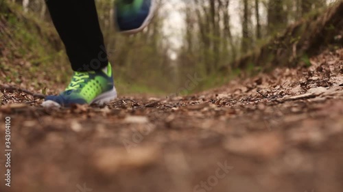 Wallpaper Mural a man runs along a path in the woods Torontodigital.ca