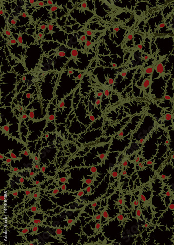 Wallpaper Mural Branches of Blackthorn. Vector drawing Torontodigital.ca