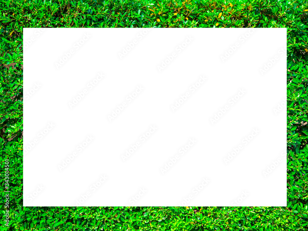 White paper placed on a leaf background Green square frame