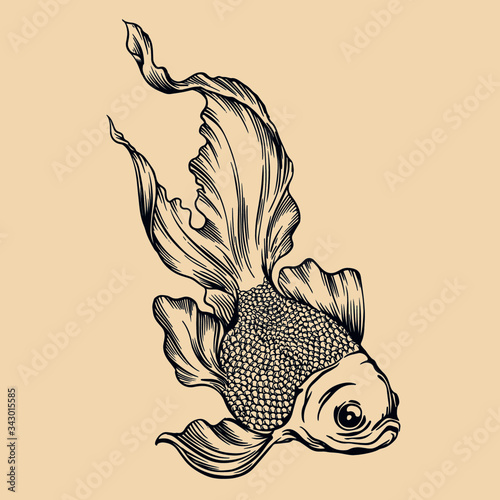Koki golden fish vector illustration