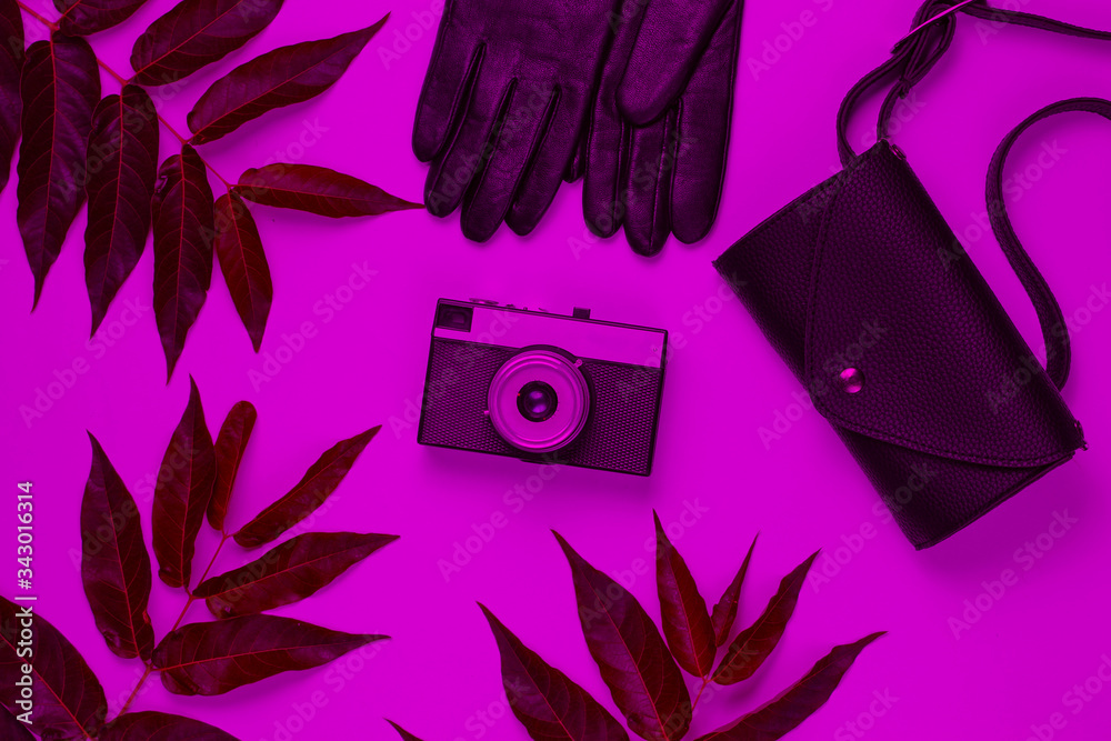 Leather waist bag, gloves, retro camera in pink neon light with green tropical leaves. Top view