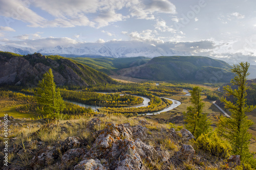 Altai natural landscape of the kurai steppe and the Chuya river, mountain ice peaks of Siberia. Autumn forest, larch trees.