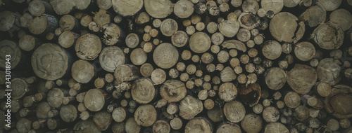 round teak wood stump background