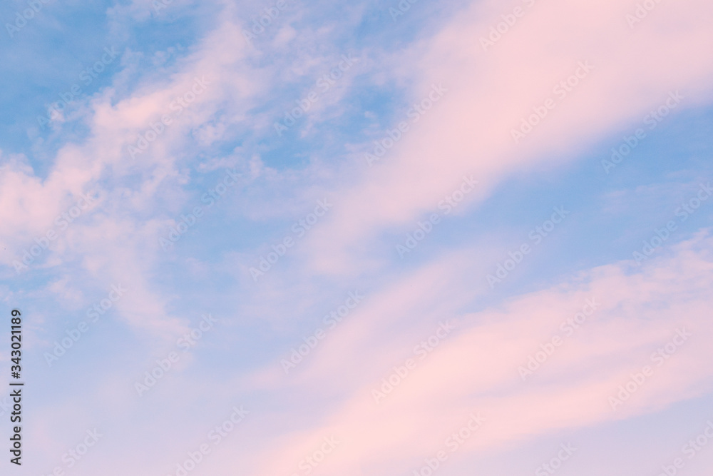 Pink clouds  in  the blue sky