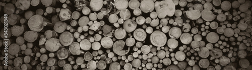 round teak wood stump background