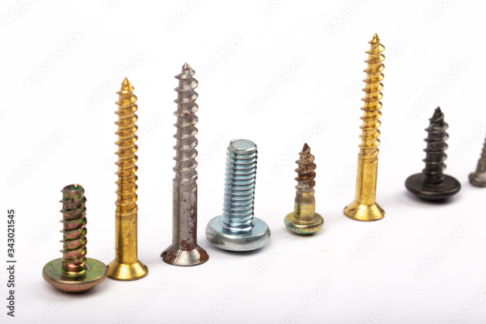 different set screws in a row on white background
different set screws in a row on white background