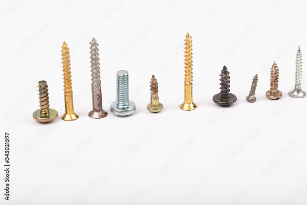 different set screws in a row on white background
