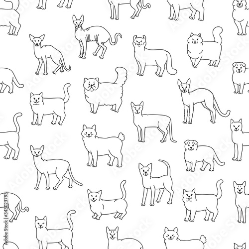 Cats seamless pattern vector black white domestic pedigree pets laterally contour sketch background.