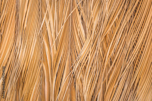 Fototapeta Naklejka Na Ścianę i Meble -  Texture of dried coconut leaves that overlap pile. Abstract background of dried coconut leaves.