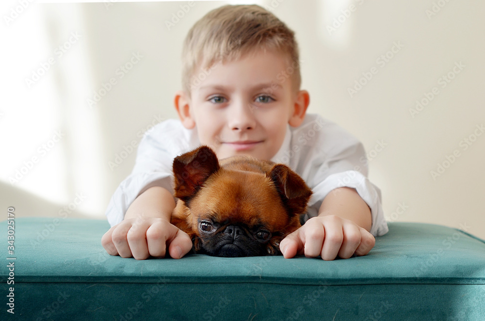 A young happy boy with his little dog. Boy smiling while holding a dog. Lovely dog. Best griffon dog. The best pet at home. Best dog for kids. Love forether. Relationship with dog. Fidelity. A young happy boy with his little dog. Boy smiling while holding a dog. Lovely dog. Best griffon dog. The best pet at home. Best dog for kids. Love forether. Relationship with dog. Fidelity.