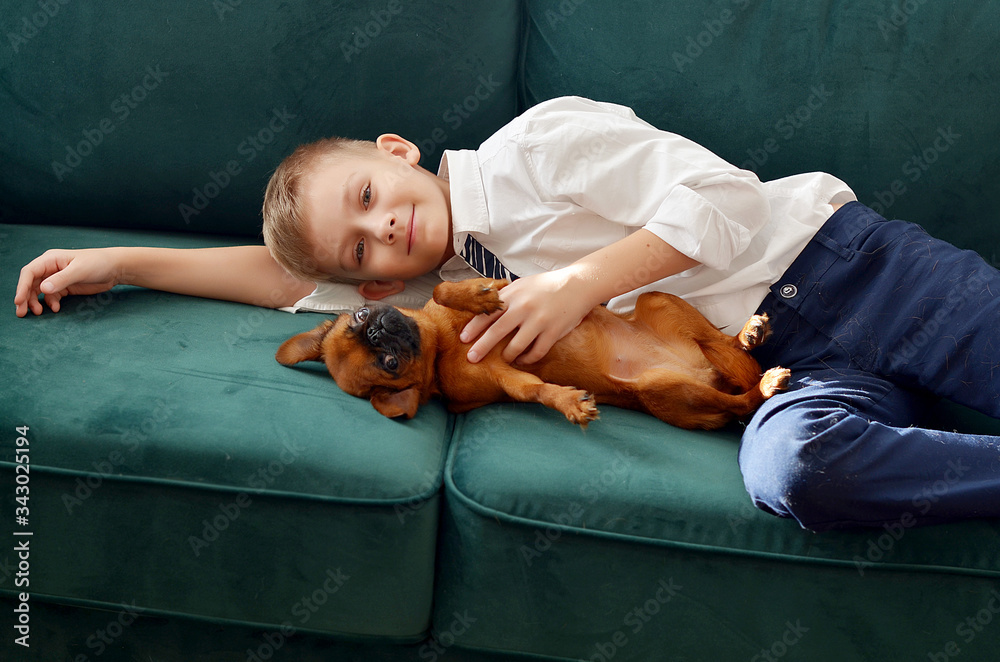 A young happy boy with his little dog. Boy smiling while holding a dog