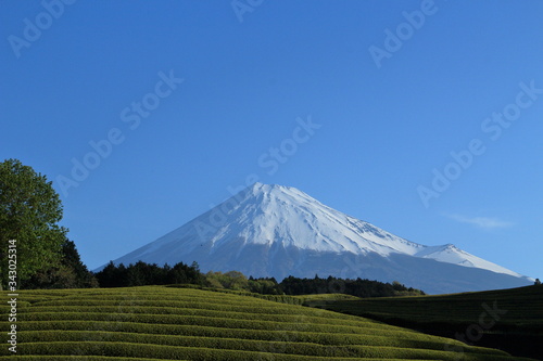 Mt. Fuji straddles Yamanashi and Shizuoka prefectures.