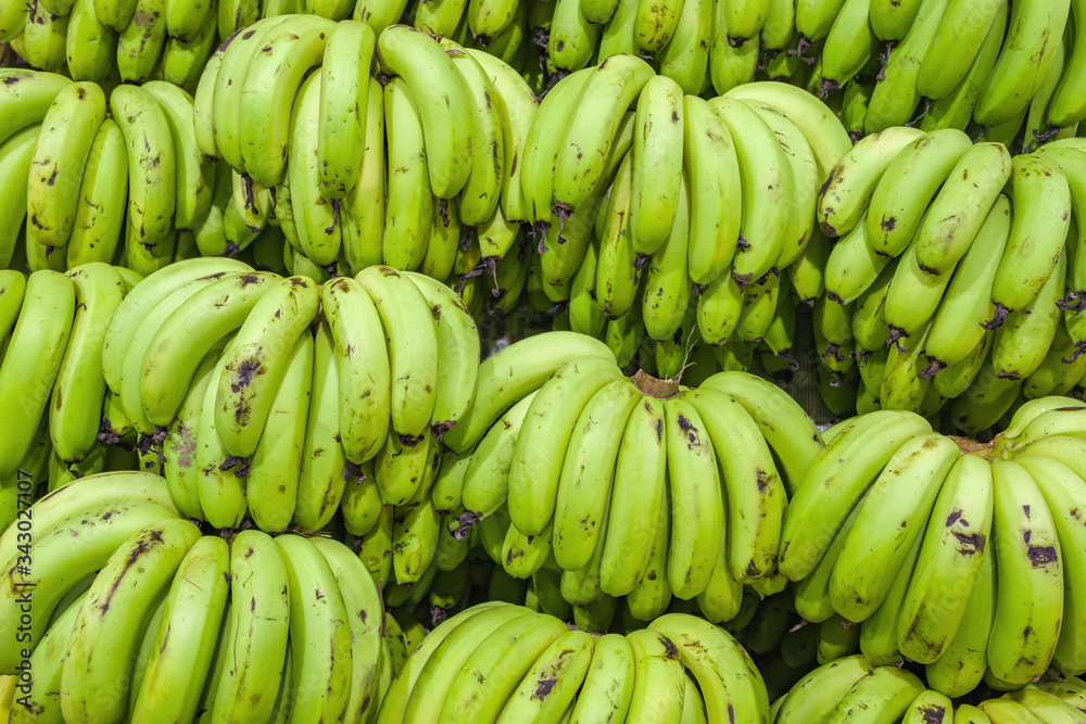 Bunches of green bananas on indian market stall