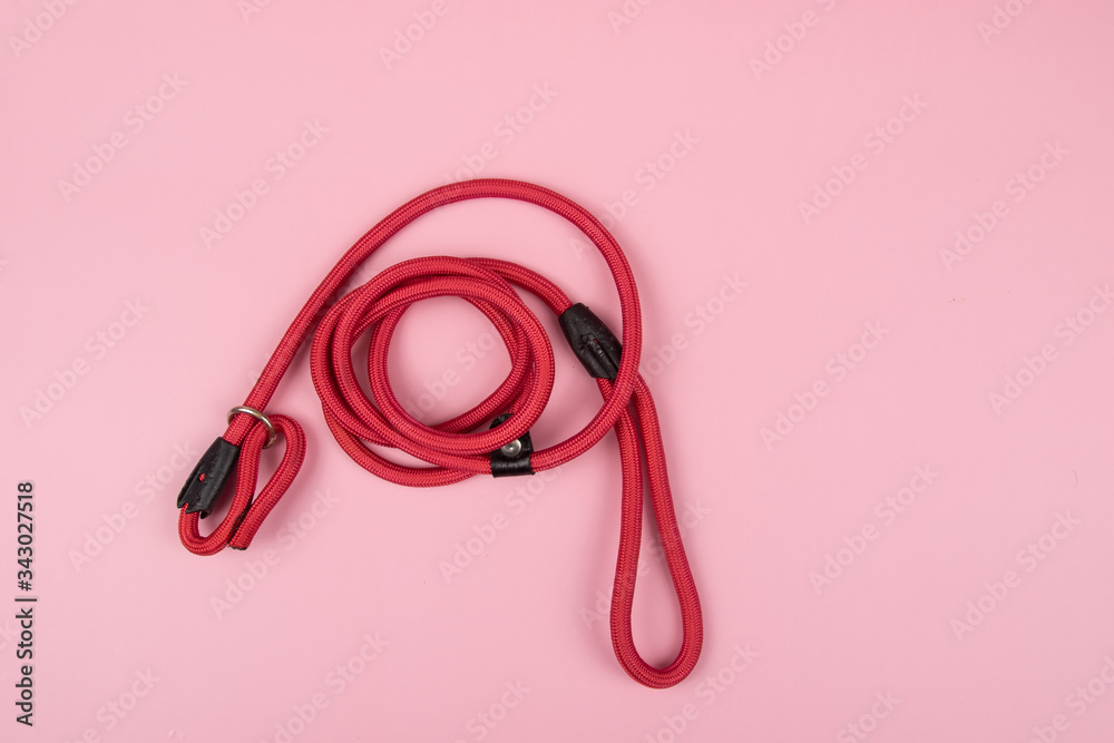Red nylon dog lead or leash isolated over Pink Background Red nylon dog lead or leash isolated over Pink Background