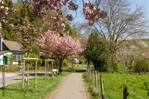 Obstweg in Rueden, Solingen, Germany photo