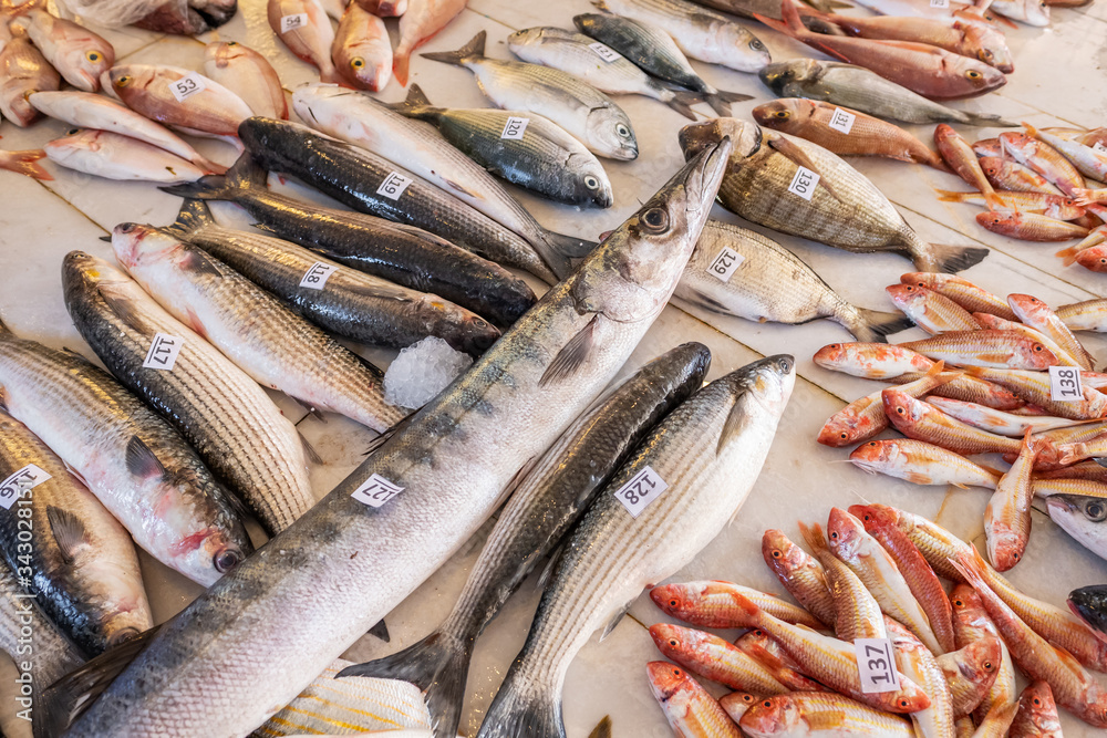 Various fresh fish for sale at seafood auction in Alacati, Turkey