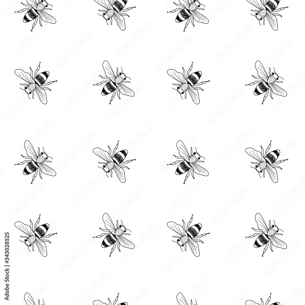 Vector seamless black and white pattern of hand drawn doodle isolated bees Vector seamless black and white pattern of hand drawn doodle isolated bees