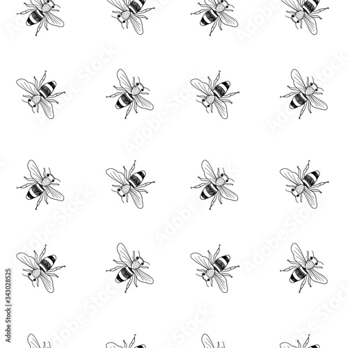 Vector seamless black and white pattern of hand drawn doodle isolated bees © Free_styler