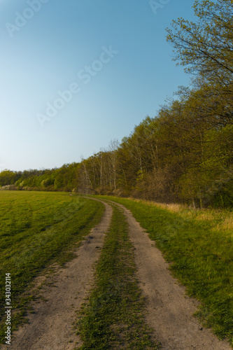 Road in the beautiful countryside. Green grass and trees.