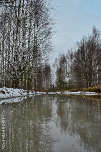 river in winter forest
