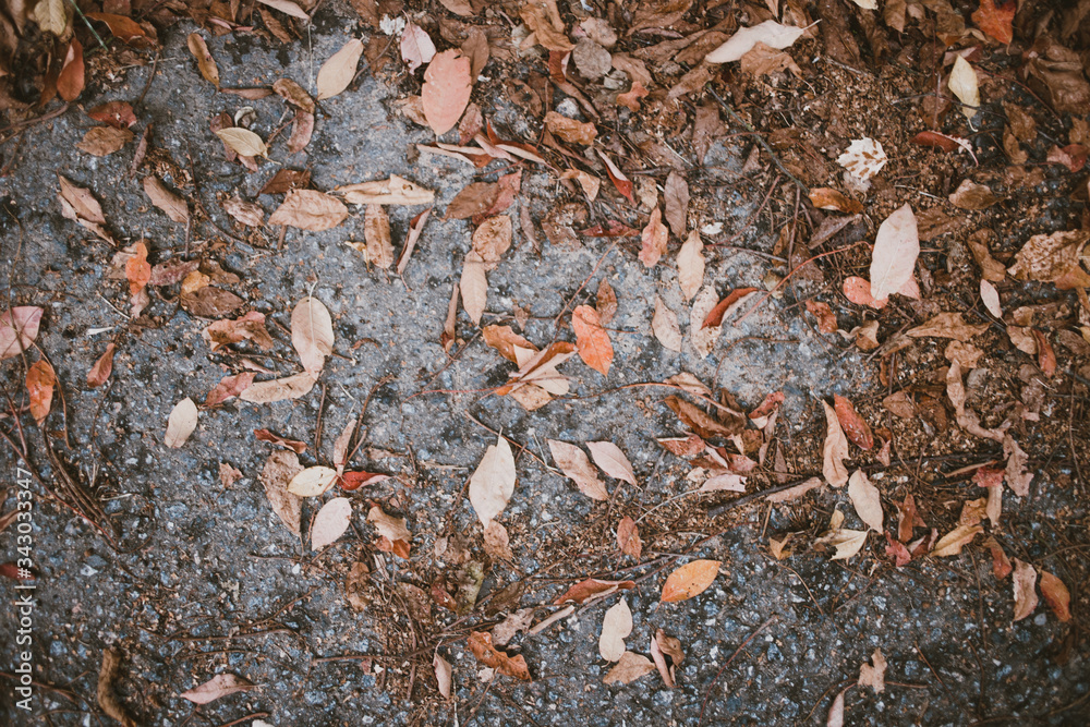 texture of a stone and autumn ground