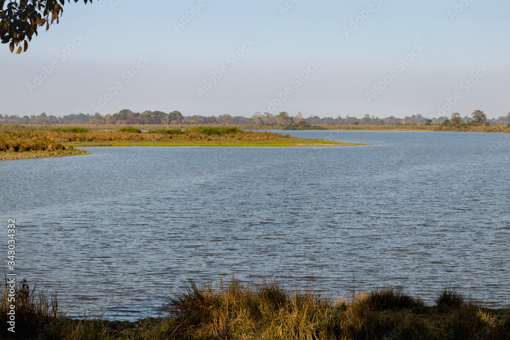 Beautiful forest lake with wavy blue water surrounded by grassland captured during the summer afternoon. Kaziranga National Park, Assam, Northeast, India