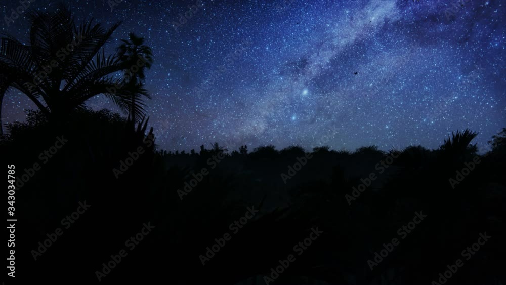 Beautiful starry sky over tropical rain forest jungle, 4K