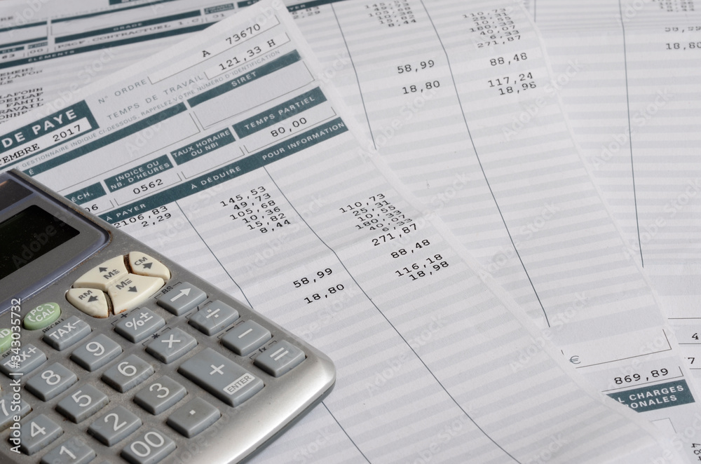 Euro Pay slip and calculator Euro Pay slip and calculator