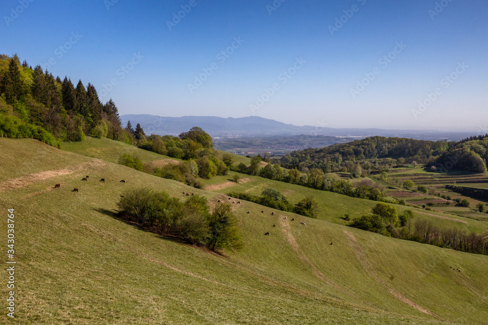 Haselschacher Buck Kaiserstuhl Germany Haselschacher Buck Kaiserstuhl Germany